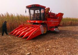 China JUMING GIMIG corn combine harvester maize combine harvester